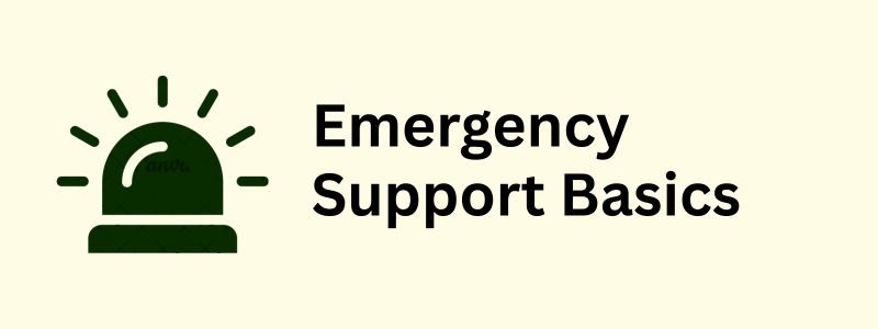 Emergency icon